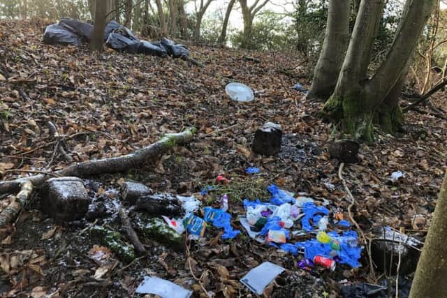 The Rye resident said he was disappointed to find the fly-tipping