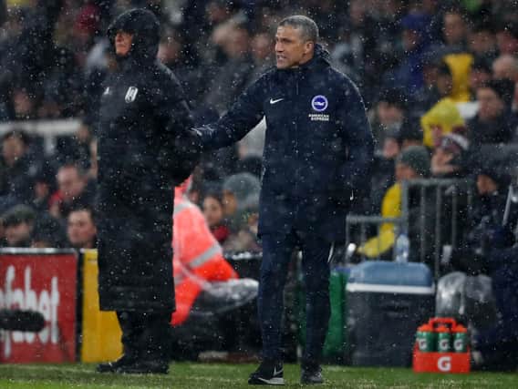 Chris Hughton. Picture: Getty Images