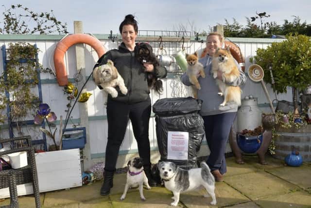 Sammie and Sue with their dogs in Mountney Drive, Pevensey Bay (Photo by Jon Rigby)