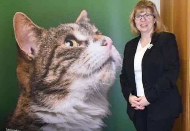 Maria Caulfield MP is Chairman of the All Party Group on Cats in Parliament