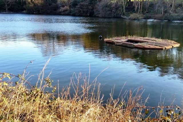 Hastings Borough Council has installed a floating island in Shornden Reservoir in a bid to improve the quality of water in Alexandra Park