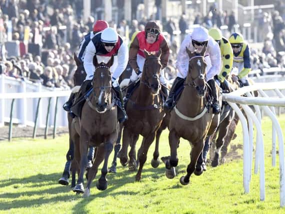 Action at Fontwell is in prospect on Thursday afternoon / Picture by Malcolm Wells