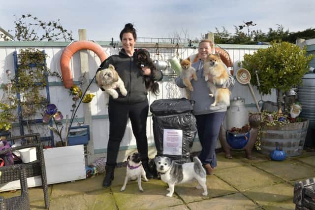 Sammie and Sue with their dogs in Mountney Drive, Pevensey Bay (Photo by Jon Rigby)