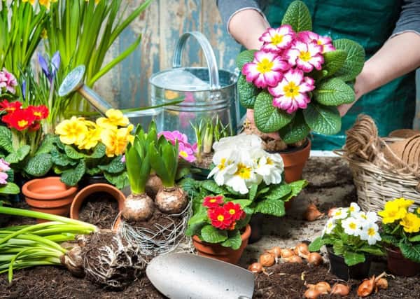 A two-day 'Growing Together' event featuring workshops and talks on gardening will be held this weekend as part of the Kinder Living Home Show SUS-190226-163845001