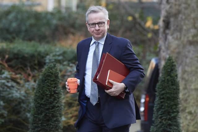 Environment secretary Michael Gove - Picture: NIKLAS HALLE'N/AFP/Getty Images
