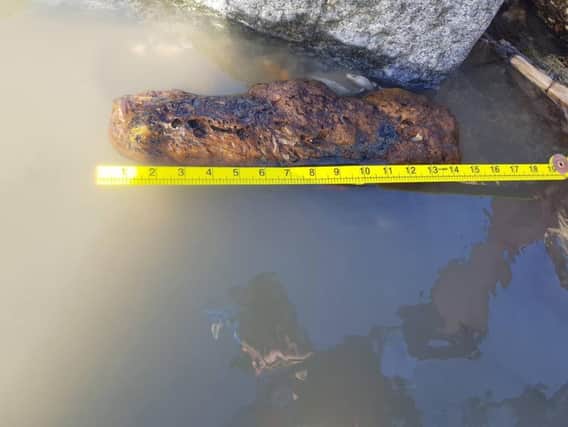 Ordnance found on Medmerry Beach. Picture courtesy of Selsey Coastguard Rescue Team
