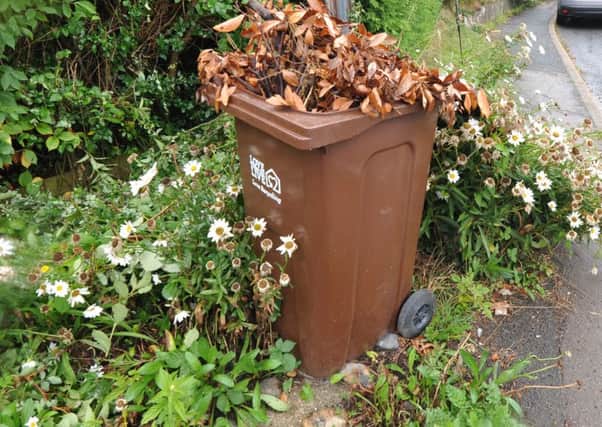One of the most contentious parts of the budget is the introduction of a charge on green waste bins