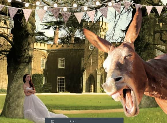 A Midsummer Night's Dream is being performed at Knepp Castle, West Grinstead, in June