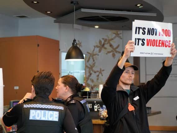 Protesters in Starbucks, Brighton (Photograph: DxE Brighton)