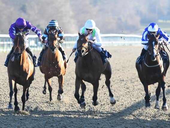 Action on the all-weather at Lingfield / Picture by Malcolm Wells