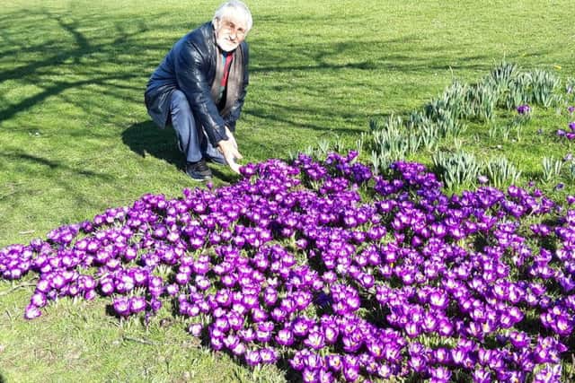 Rotarian David Chapman by one of the carpets of crocus