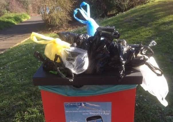 Overflowing poo bin in Princes Park, Eastbourne, photographed by Anne Norton