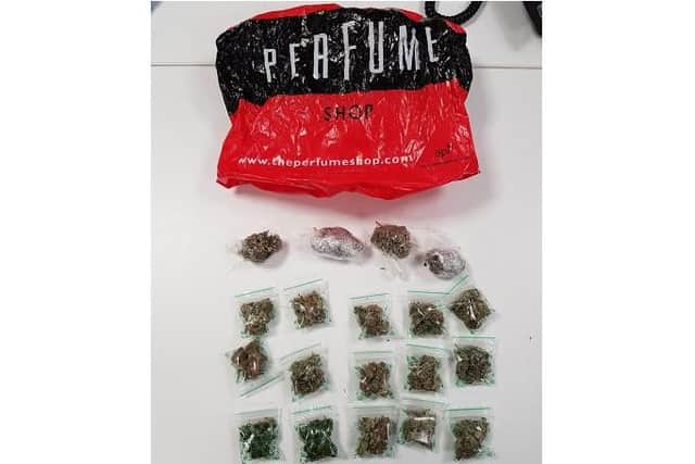 The cannabis haul seized by police. Pic: Brighton and Hove Police