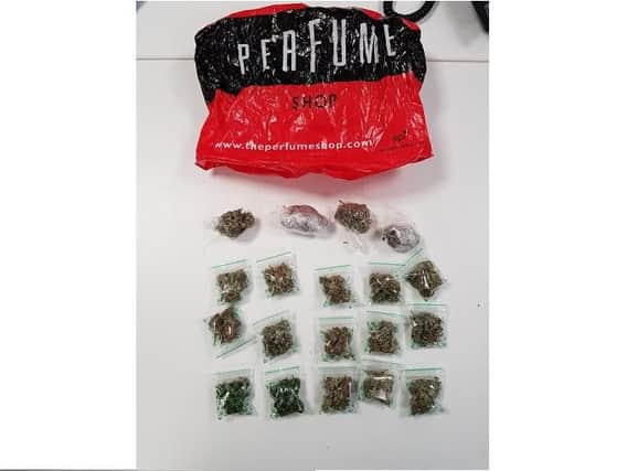 The cannabis haul seized by police. Pic: Brighton and Hove Police