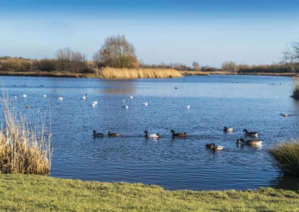 Alastair Ball took this photograph of Shinewater Lake on a sunny day with a Nikon D3200. He said, "Had a walk round Shinewater Lake for the first time and saw this lovely spot. Thought it was worth a photograph." SUS-190803-104339001