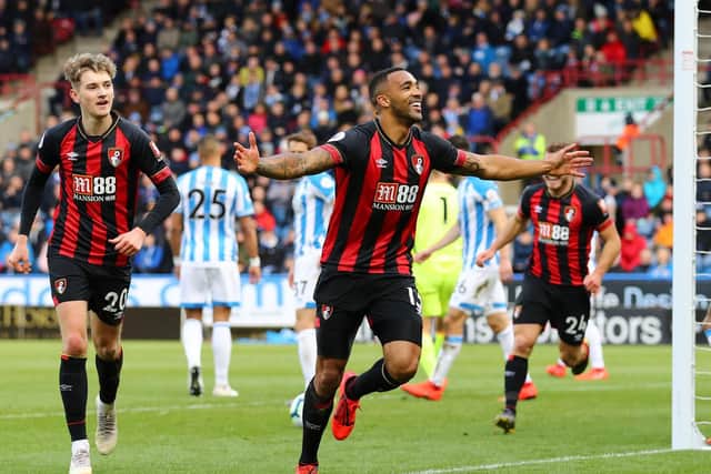 Callum Wilson celebrates scoring at Huddersfield. Picture by Getty Images