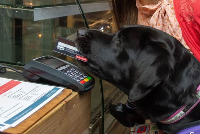 Assistance dog Ethan helps with many tasks - including making contactless payments. Picture: Paul Davey / SWNS
