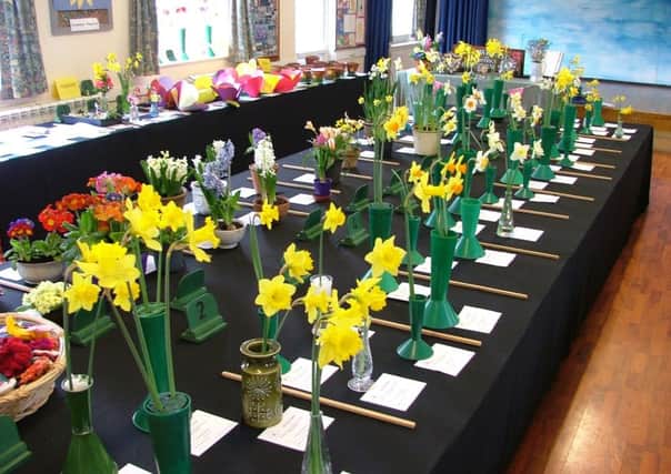 Crowhurst and District Horticultural Society Spring Flower Show 2018 SUS-190313-122613001