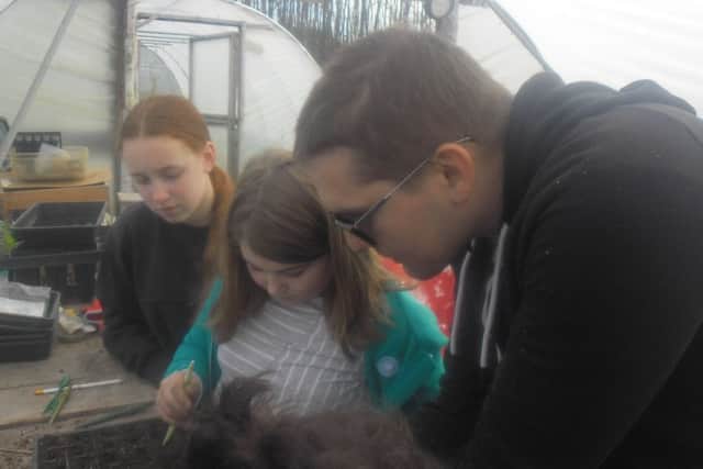 Pupils learning how to sow seeds at the farm