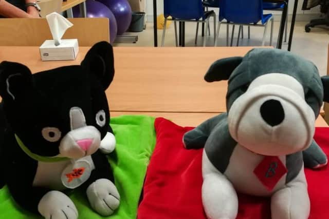 The stuffed animal 'lap buddies' at Chalkhill, funded by Rockinghorse
