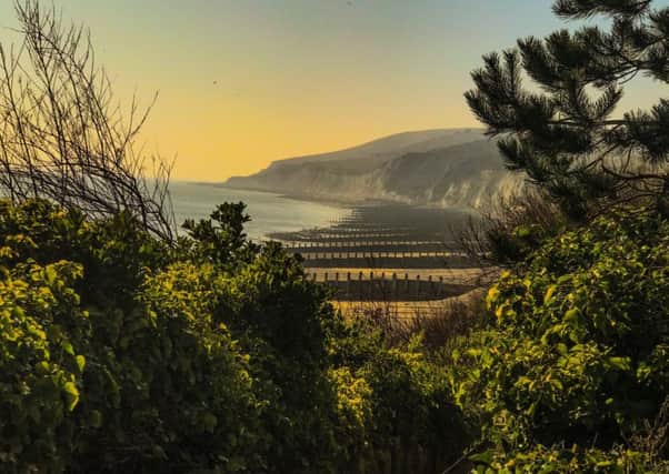 This beautiful sunset on the upper promenade on the Holywell end of Eastbourne seafront was taken in February by Stella Ann Ward. SUS-190313-155629001