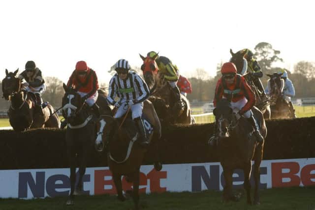 Will the sun shine at Fontwell for the St Patrick's raceday? Picture by Clive Bennett