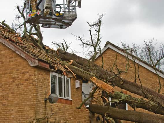 Tree hits Crawley home. Eddie Howland