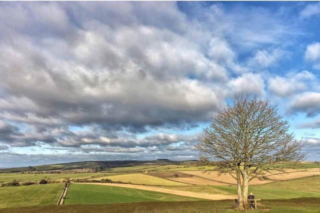 Broadwater Photographic Group