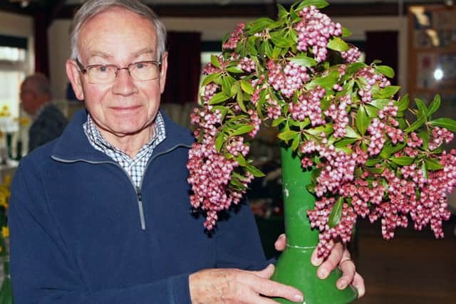 Paul Rayner with his lovely pink pieris japonica, awarded the trophy for best exhibit. Photo by Derek Martin DM1931691a
