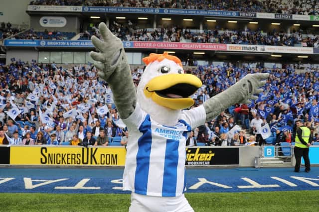 Brighton and Hove Albion mascot Gully will be at the special event. Photograph by Paul Hazlewood