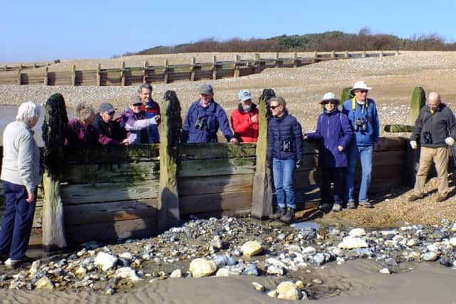 Members of Ferring Conservation Group on the beach walk