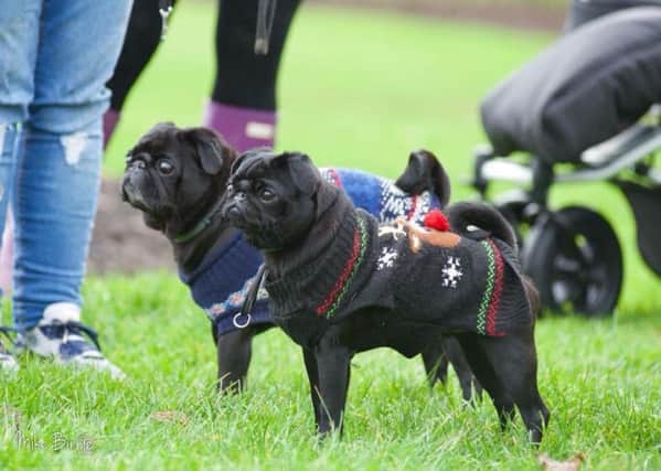 The pooch party in the park is this weekend