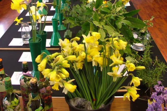 Crowhurst and District Horticultural Society Spring Flower Show 2019 SUS-190320-104449001