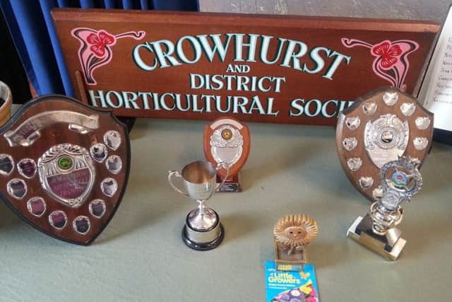 Crowhurst & District Horticultural Societys Spring Show 2017 SUS-190320-113648001