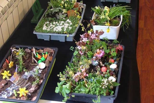 Crowhurst and District Horticultural Society Spring Flower Show 2019 SUS-190320-104511001