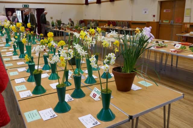 Worthing West MP Sir Peter Bottomley was among visitors to Rustington Horticultural Association's spring show