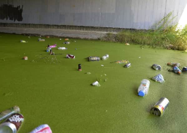 Litter dumped in Shinewater Lake area in Eastbourne (Photo by Jon Rigby) SUS-180208-101934008