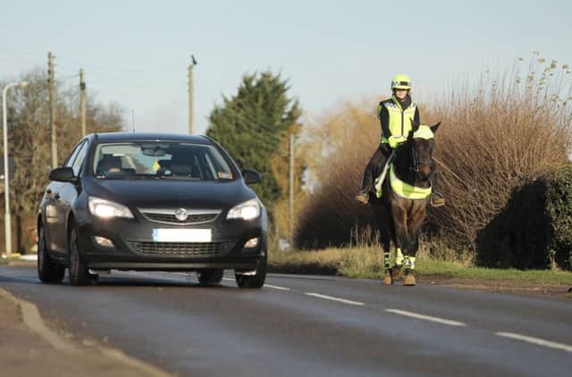Over the last year there have been more than 800 road safety incidents involving horses reported to the British Horse Society