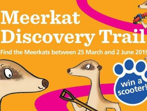 The Meerkat Trail