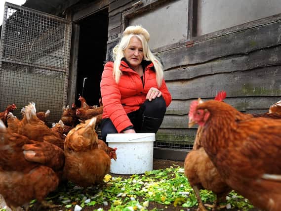 Old Gardens Animal Rescue Centre owner Irene Clarke with some of the chickens. Photo: Steve Robards SR1907836