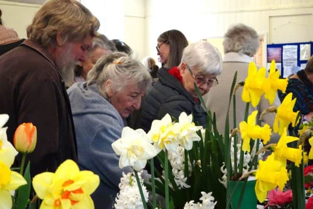Visitors at Ninfield Horticultural Society Spring Show 2019 SUS-190326-093350001