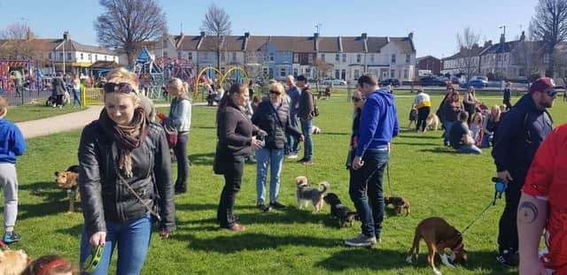 Eastbourne pooch party in the park 2019 SUS-190326-114014001