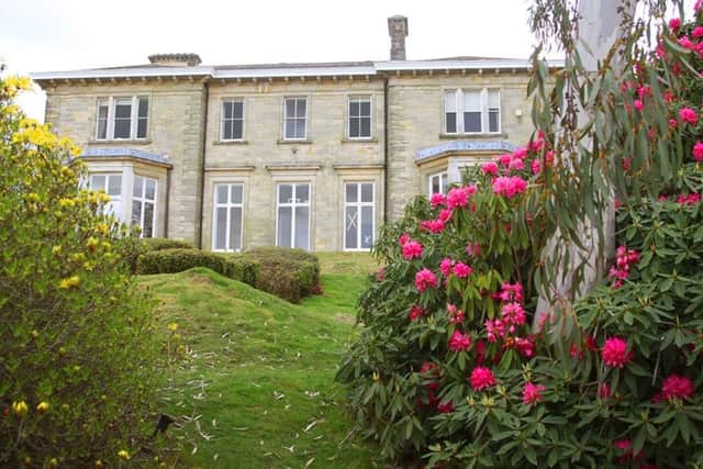 Leonardslee Gardens, Brighton Road, Lower Beeding. Black Narcissus, 1947.