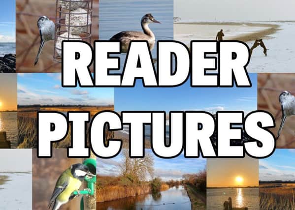 Reader pictures