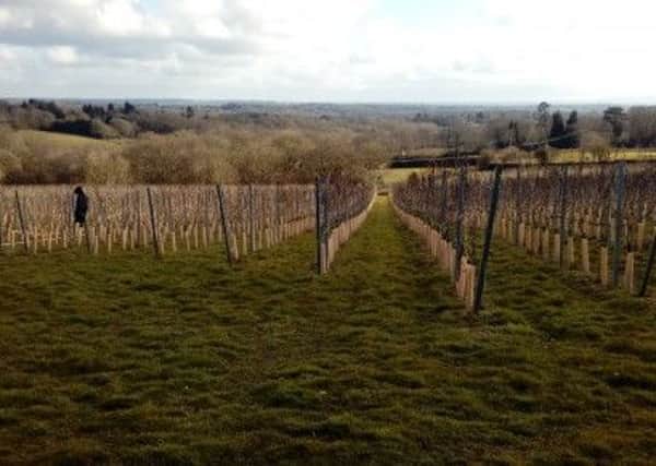 Beacon Down Vineyard has applied for a licence so it can sell alcohol on site