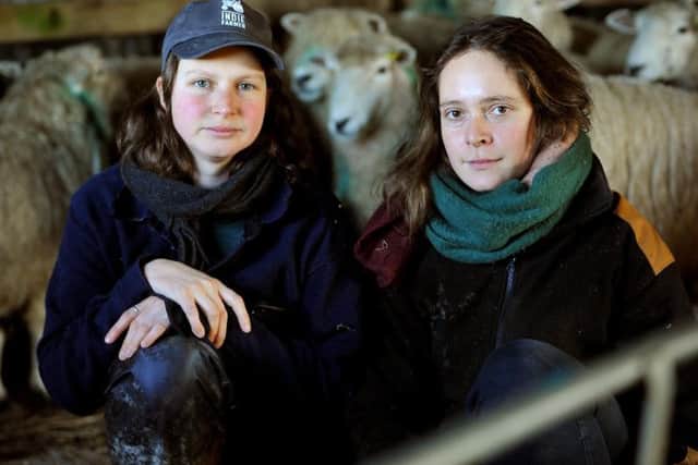 Shepherds Gala Bailey-Barker and Rose Bramwell with the sheep that survived at Hillsdown Farm. Photo by Steve Robards
