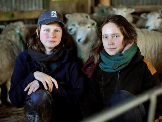 Shepherds Gala Bailey-Barker and Rose Bramwell with the sheep that survived at Hillsdown Farm. Photo by Steve Robards