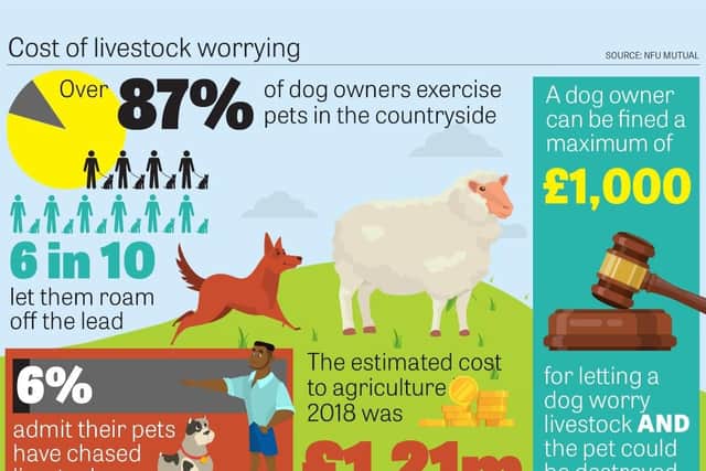 A new campaign urging dog owners to keep their pets under control has been launched by rural insurer NFU Mutual