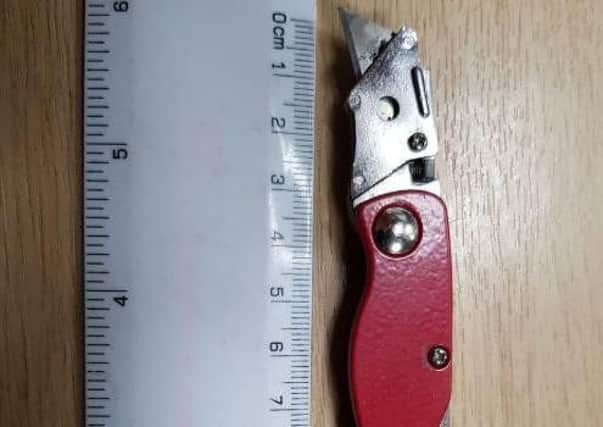 Police tweeted an image of a knife. Photo: Mid Sussex Police/Twitter