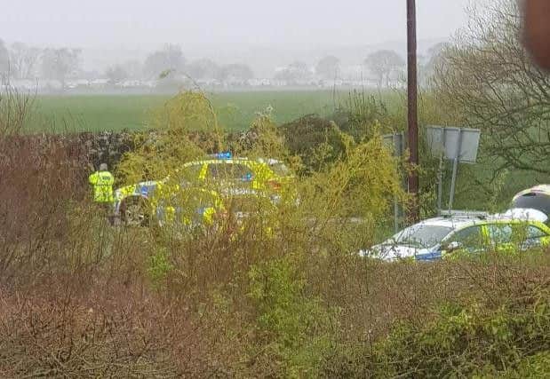 The scene of the crash. Picture: Sussex Roads Police